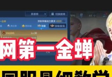金蝉玩法攻略（金蝉出装及连招顺序攻略，助你在战场上无往不利！）