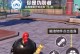 和平精英挂饰盲盒怎么用,挂饰盲盒使用攻略全解析