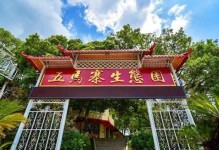 《揭秘我是面包尾声攻略》（解密背后的关键要点与技巧）