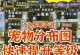 《逆水寒手游庄园动物攻略》（了解逆水寒手游庄园动物的技巧与策略）