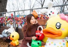 首尔奇遇记攻略（揭秘首尔的美食、文化和景点，打造独特的旅行记忆）
