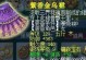 《梦幻西游永恒出装攻略》（全面解析最优秀的装备选择策略与技巧）
