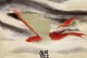 北冥神鲲手游攻略（探索无尽的海域，成为北冥神鲲的传奇船长）