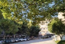 李贺守望先锋出装攻略（打造最强李贺装备，征服战场）