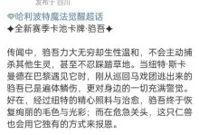 魔法卡玩法攻略（打开魔法卡世界的大门，成为最强玩家！）
