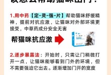 《掌握克隆猫咪天赋出装攻略的终极指南》（打造最强克隆猫咪，享受游戏无敌快感！）