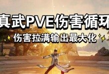 《真武PVE技能搭配攻略》（技能选择与组合策略，助你在真武PVE中力挽狂澜）