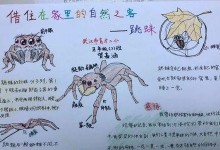如何轻松过关以蛇它虫第46关？（图文攻略带你一步步突破难关）