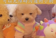 萌宠高技能挑战攻略（带你一起培养萌宠的技能，征服挑战！）
