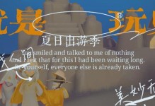 探寻夏日阳伞背后的游戏魅力（用游戏角度解析夏日阳伞的购买背后）