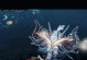 《失落的方舟加深渊攻略技能指南》（掌握关键技能，挑战深渊无往不利）