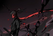 忍者必死3小黑出装攻略（小黑出装攻略带你一统忍者世界）